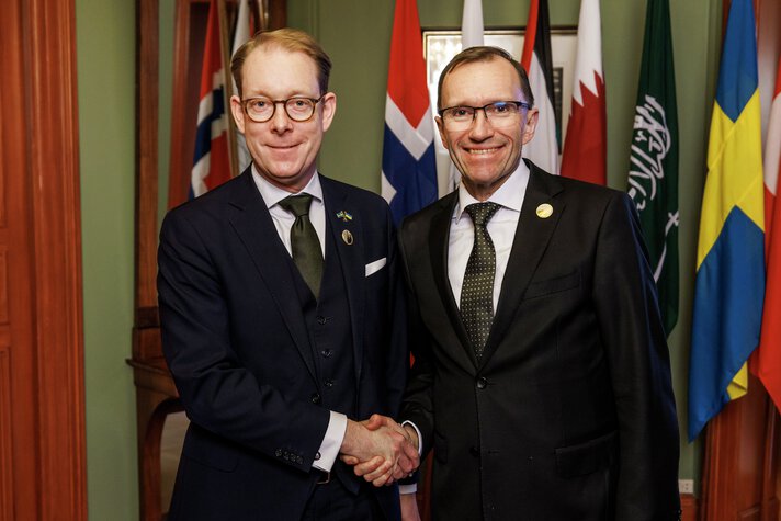 Sweden's Foreign Minister Tobias Billström shaking hands with Foreign Minister Espen Barth Eide.