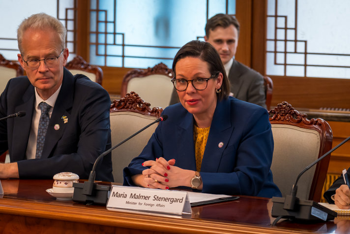 Minister for Foreign Affairs Maria Malmer Stenergard speaking while sitting at a table.