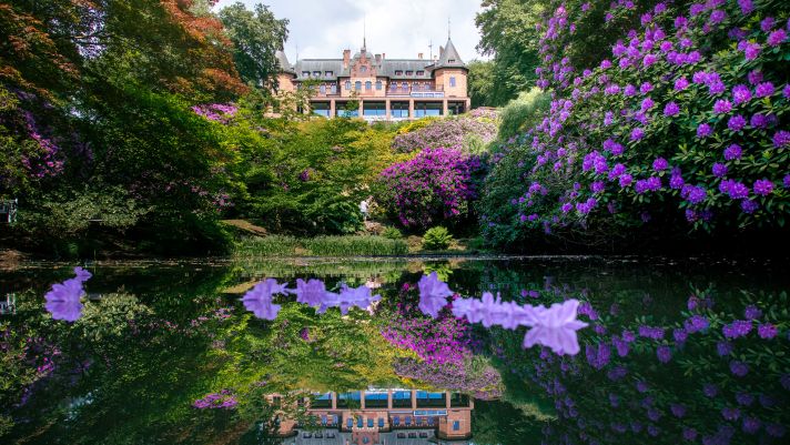 The Sofiero Palace in Helsingborg surrounded by rhododendrons